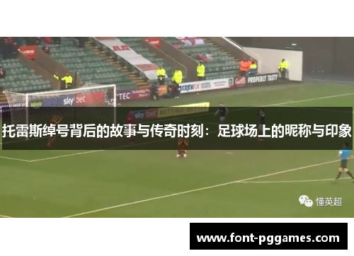 托雷斯绰号背后的故事与传奇时刻：足球场上的昵称与印象